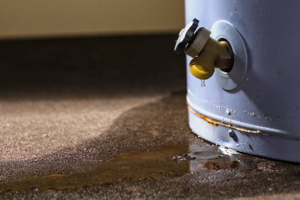 Best Emergency water damage restoration  in Country Clu, FL
