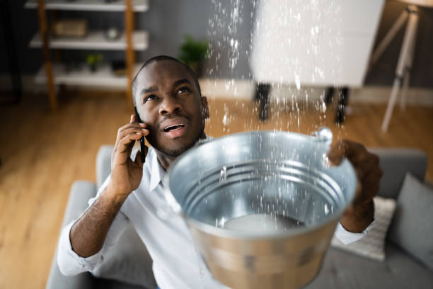 Best Water damage contractors near me  in Country Clu, FL