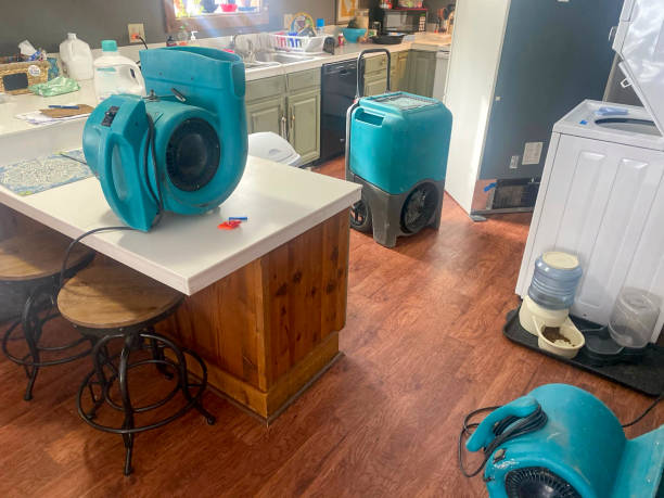 Best Water damage restoration process  in Country Clu, FL