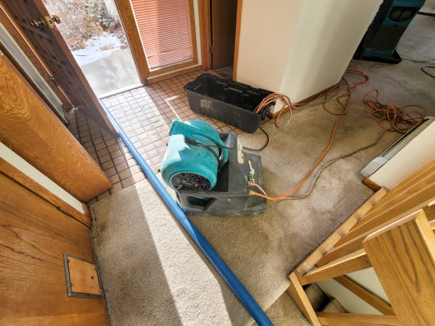 Best Sewage cleanup and water damage restoration  in Country Clu, FL