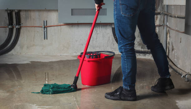 Best 24/7 water damage repair  in Country Clu, FL