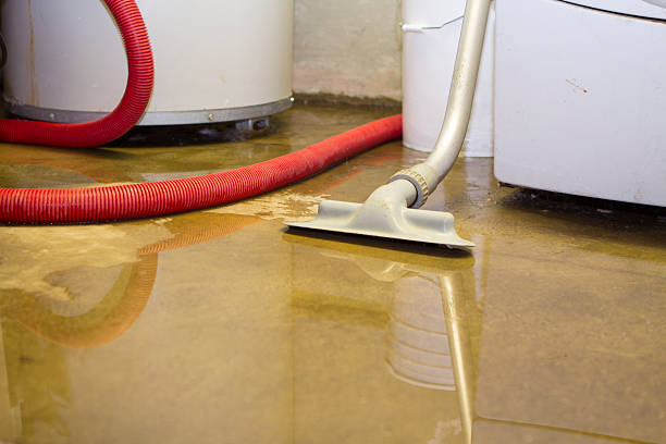 Best Ceiling water damage repair  in Country Clu, FL